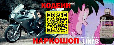 apvp Кунгур