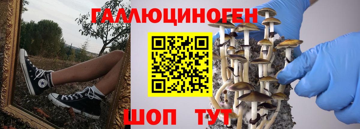 Псилоцибиновые грибы Psilocybe  Галлюциногенные грибы Cubensis  Благовещенск  Вход с VPN 